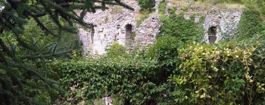 Le Vieux Chateau