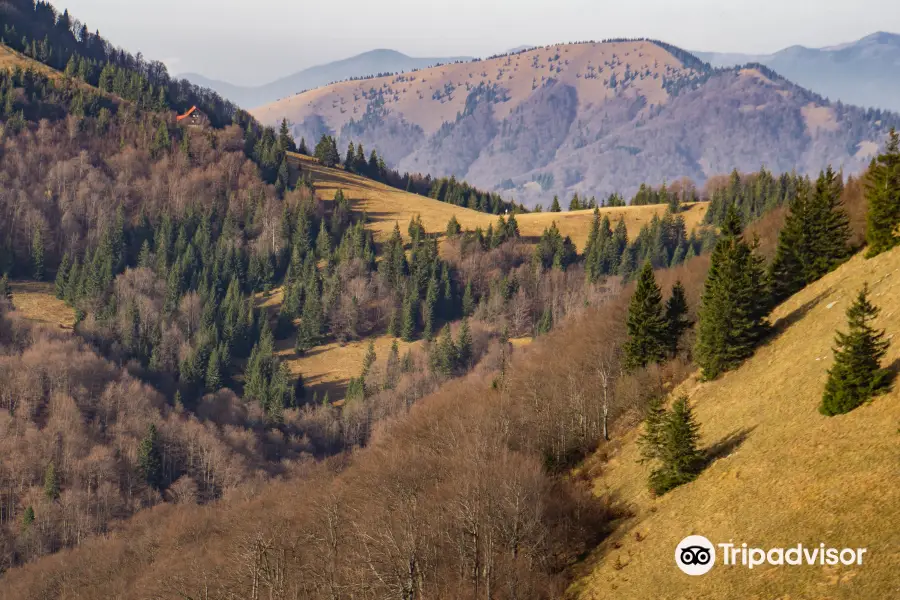 Velka Fatra national park