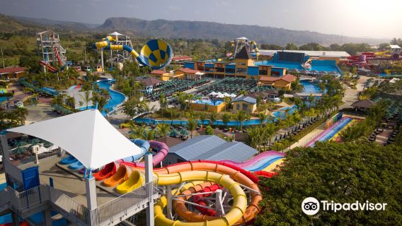 Clark Aqua Planet