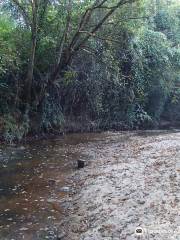 Clyde Shepherd Nature Preserve