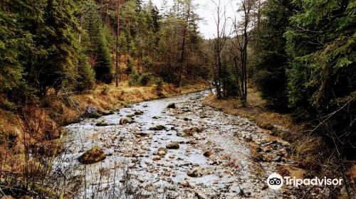 Nationalpark Berchtesgaden