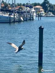 Naples City Dock