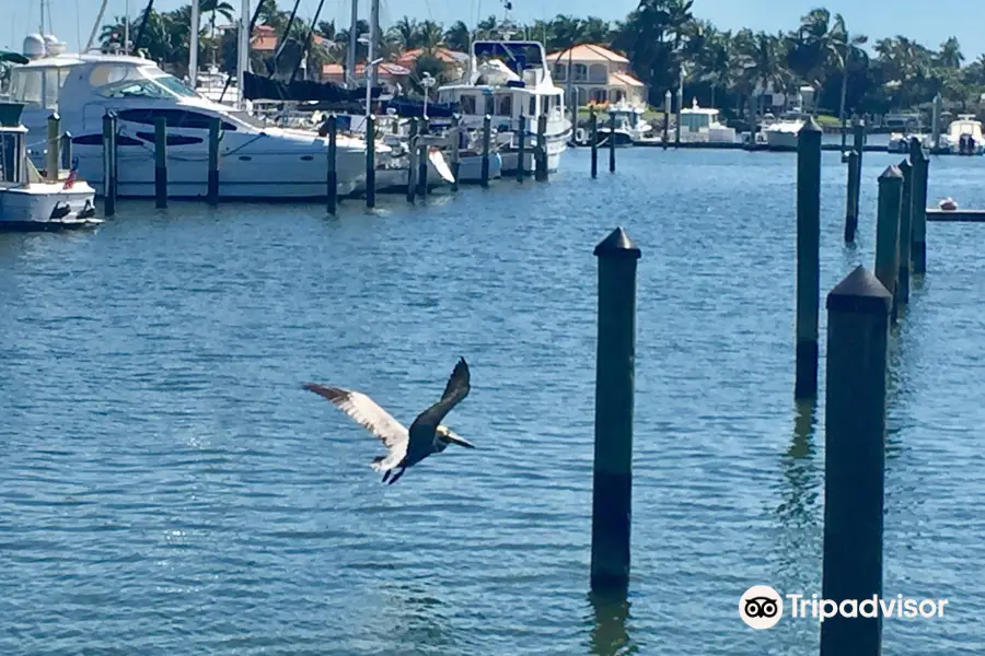 Naples City Dock