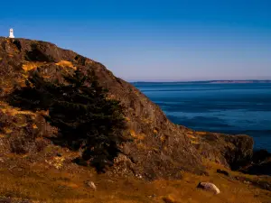 Iceberg Point