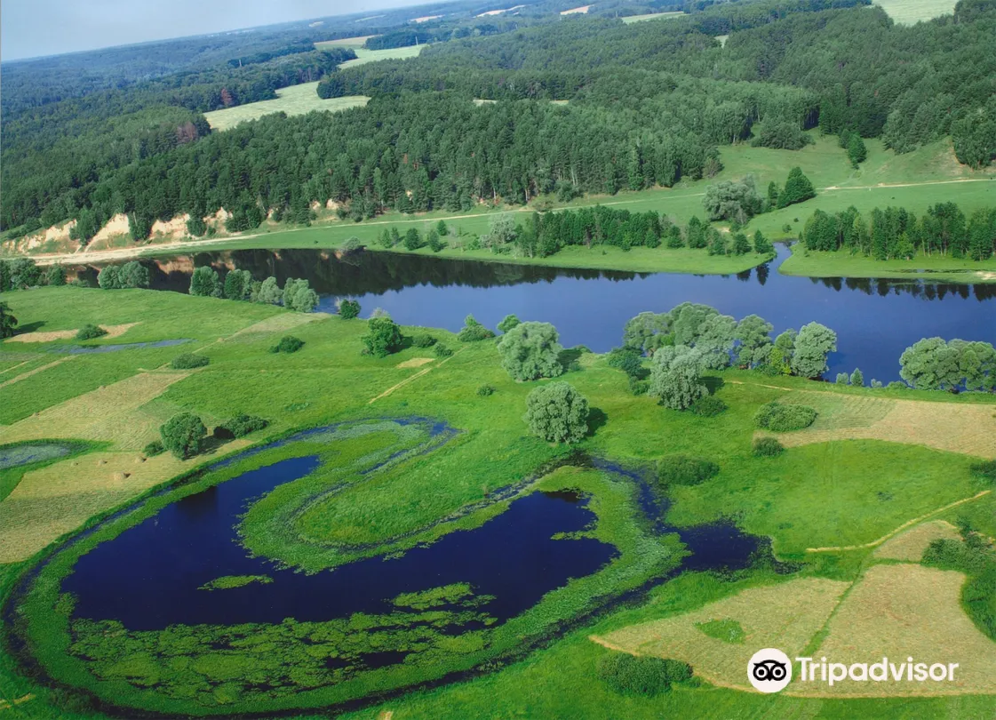 1_Mezynskyi National Park