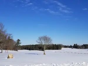 Smiling Hill Farm