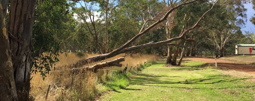 Longfella Park