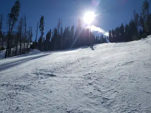 Pajarito Mountain Ski Area