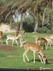 Africa Safari Park