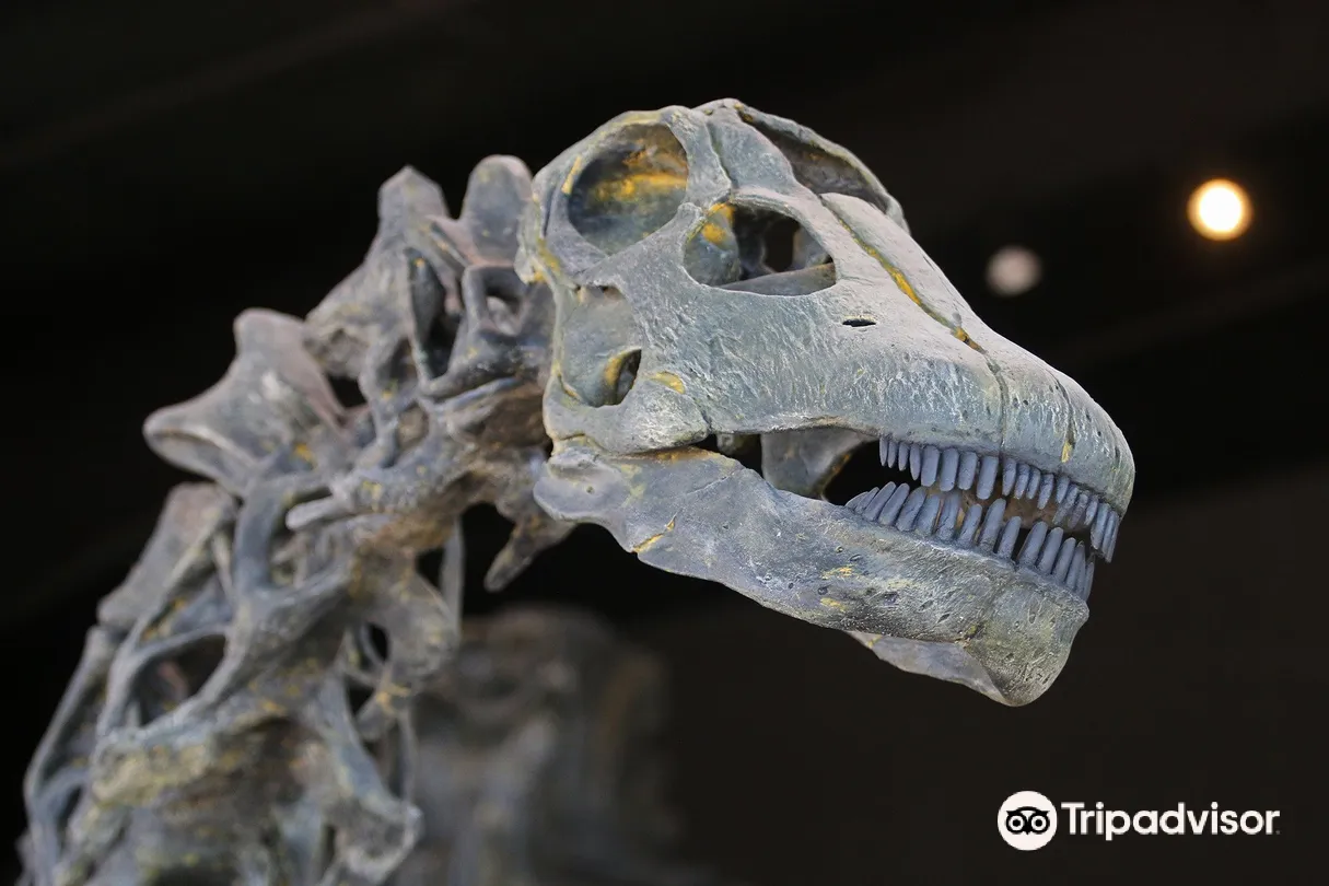 5_Royal Gorge Dinosaur Experience