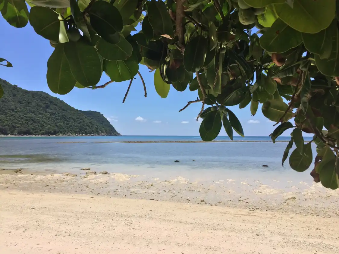 Hotels near Bay Canh Island
