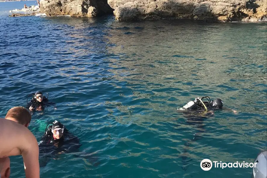 Montenegro Diving