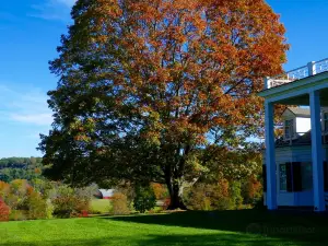 Hill-Stead Museum