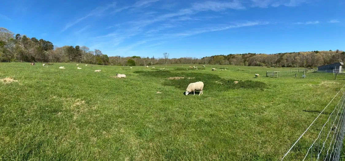 Hotels near Peterson Farm