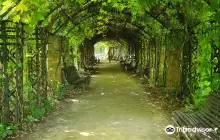 Ботанический сад МГУ «Аптекарский огород»