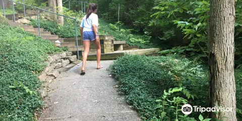 Charley Creek Gardens