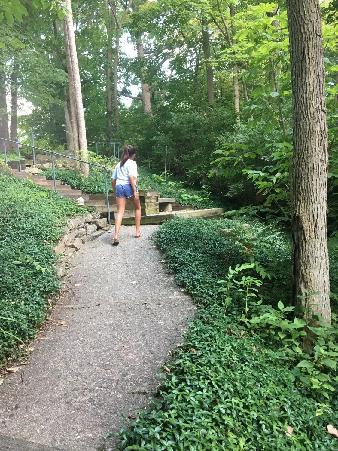 Hotels in der Nähe von Charley Creek Gardens