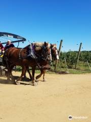 Garwood Orchards