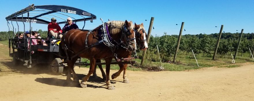 Garwood Orchards