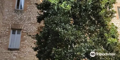 Biblioteca Comunale 'L. Ceci'