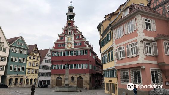 Old Town Hall