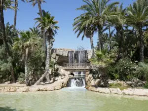 Parc El Palmeral