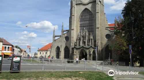 Cathedral of Assumption of Our Lady and St. John the Baptist