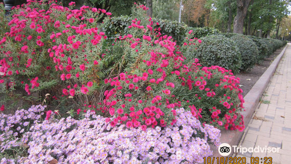 Park of Slavic Culture and Literature