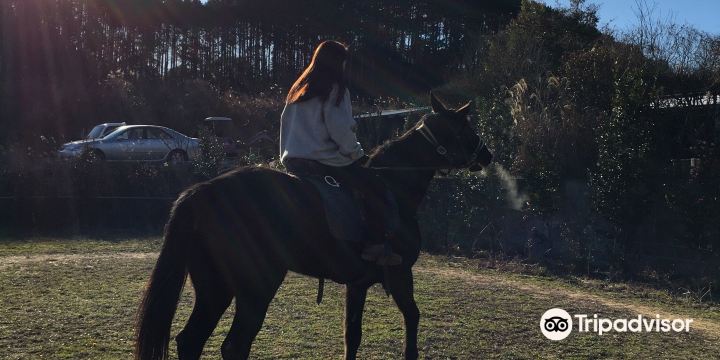 Takeo Ureshino Marchen Village