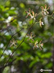 Grassy Waters Nature Preserve