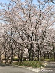Hyogo Prefectural Harima Central Park