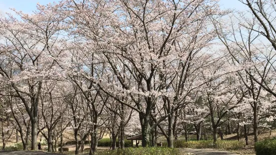 兵庫県立播磨中央公園