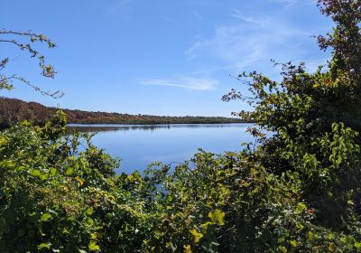 Wertheim National Wildlife Refuge