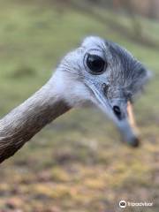 Vogel- und Tierpark Abensberg