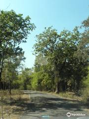 Koka Wildlife Sanctuary