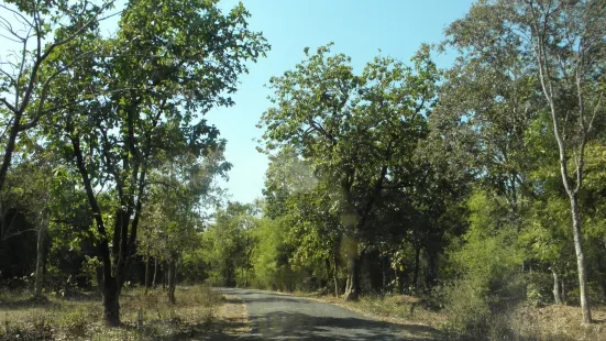 Koka Wildlife Sanctuary