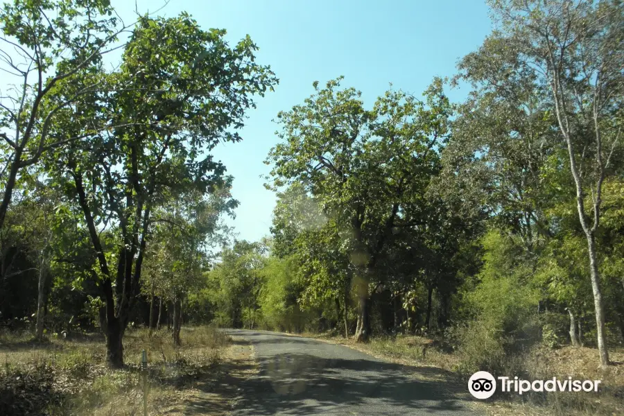 Koka Wildlife Sanctuary