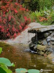 Jardín Botánico de San Diego