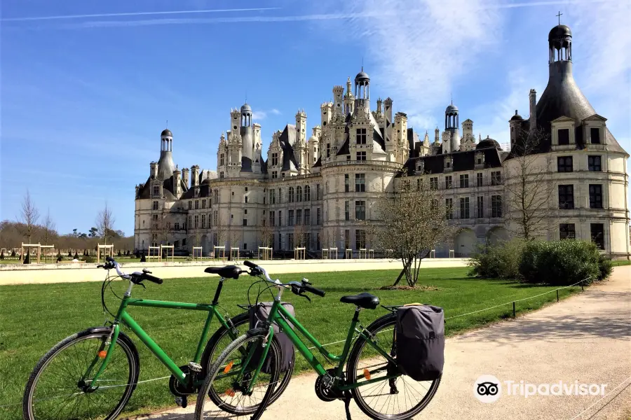 La Salamandre - Location vélos Blois
