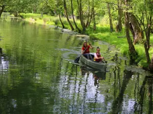 la riviere de Chauvignac