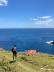 Cape Brett Walkway