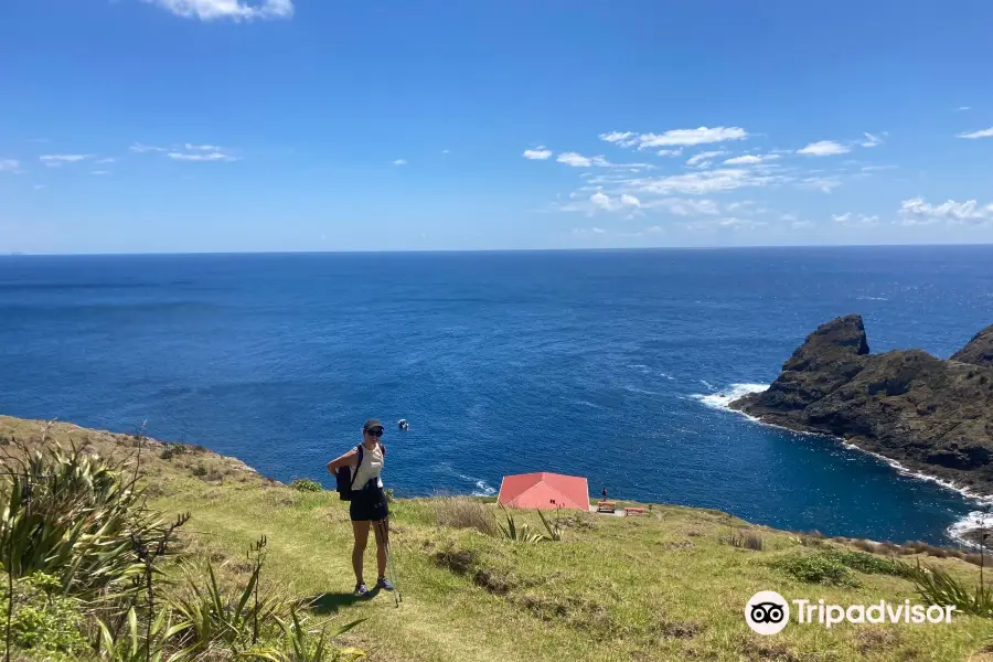 Cape Brett Walkway