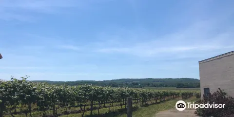 Grape Discovery Center