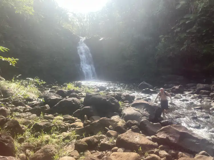 Hotels in Honomu