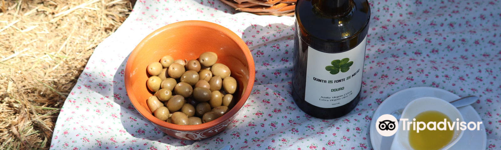 ProvesendeYachts & sailboats