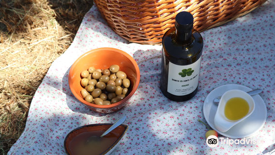 Quinta da Fonte do Milho