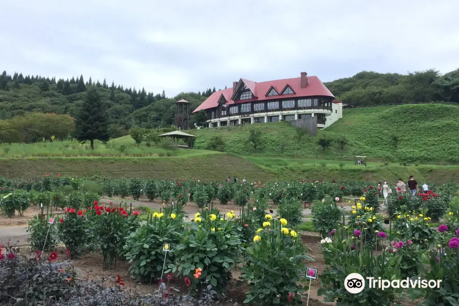 Akita International Dahlia Garden