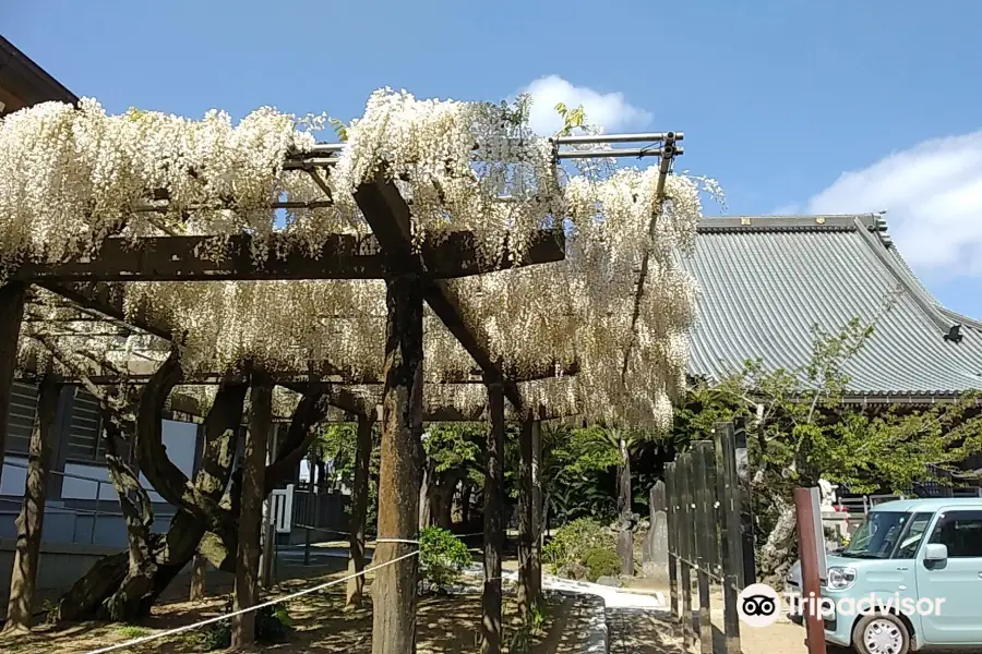 Nichirenshu Kaijosan Myofuku Temple