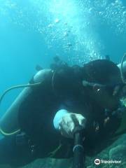 Buceo Sotavento