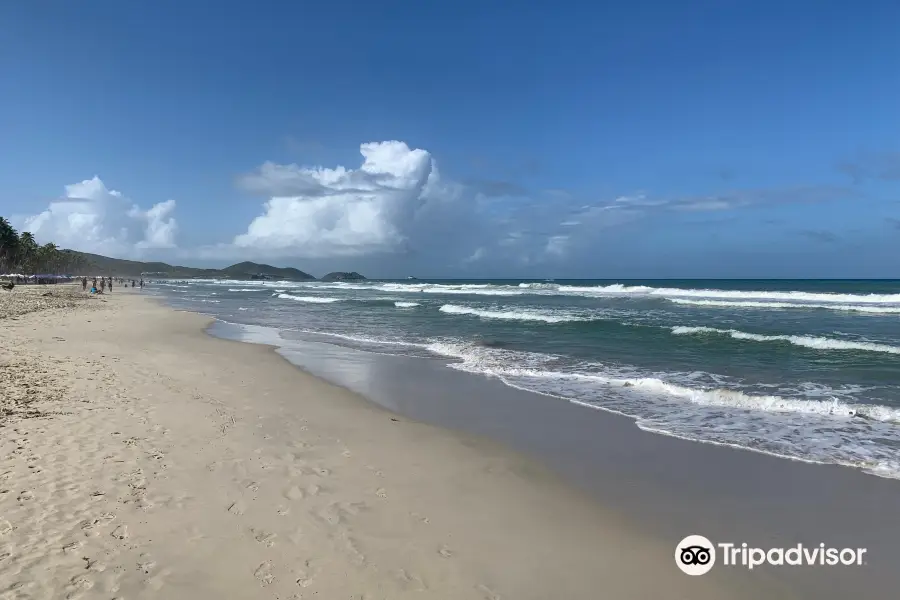 La Playa El Agua